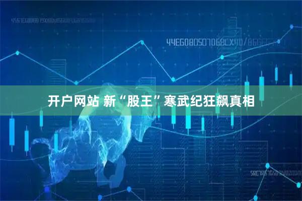 开户网站 新“股王”寒武纪狂飙真相